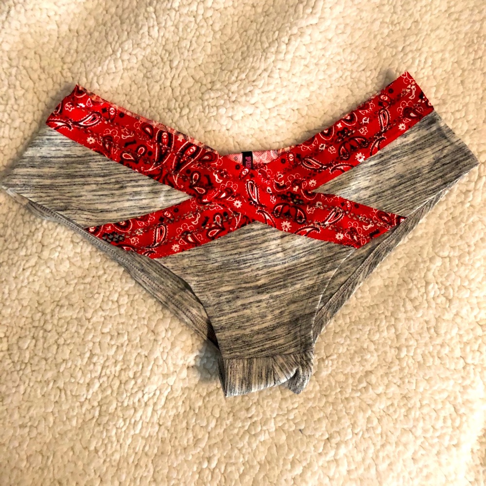 PINK cheeky panty NWT